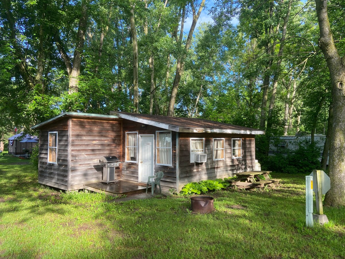 Rustic cabin steps away from Lake Champlain