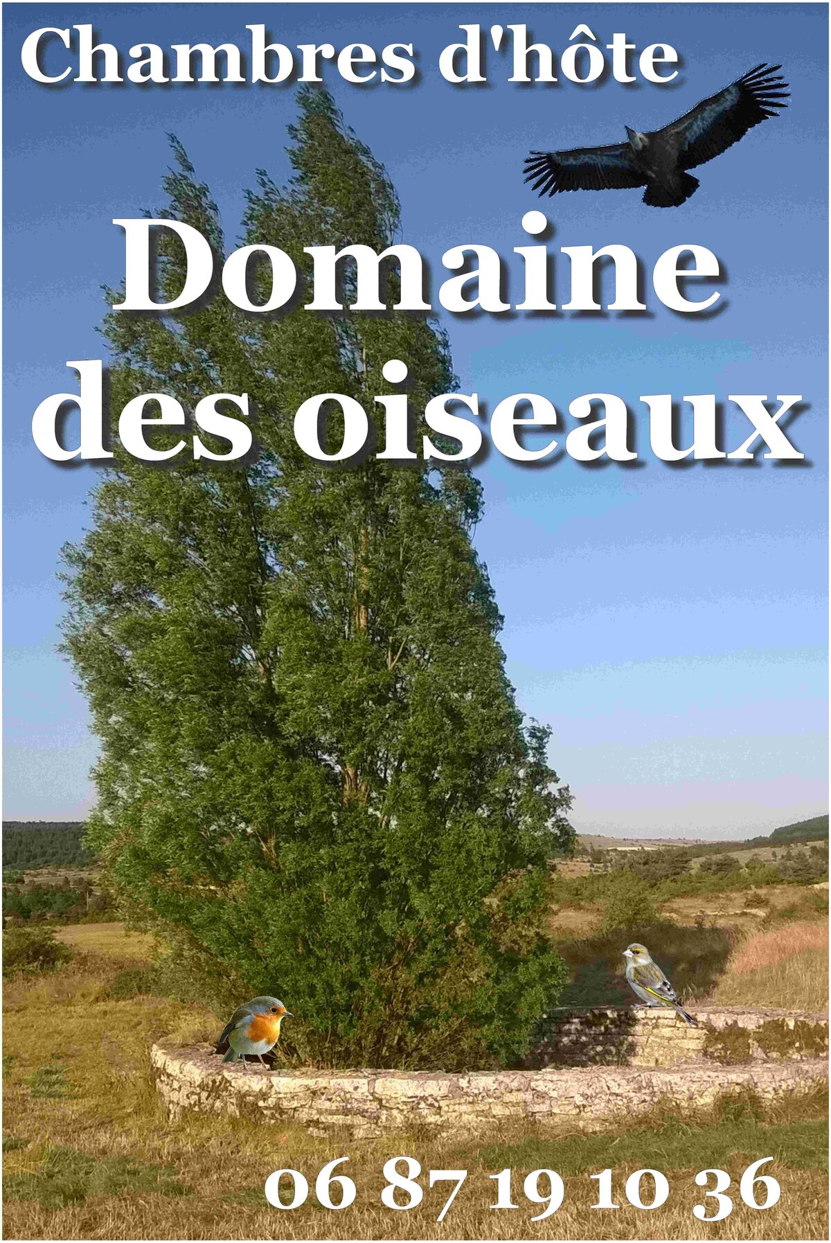 「Au Domaine des Oiseaux」。