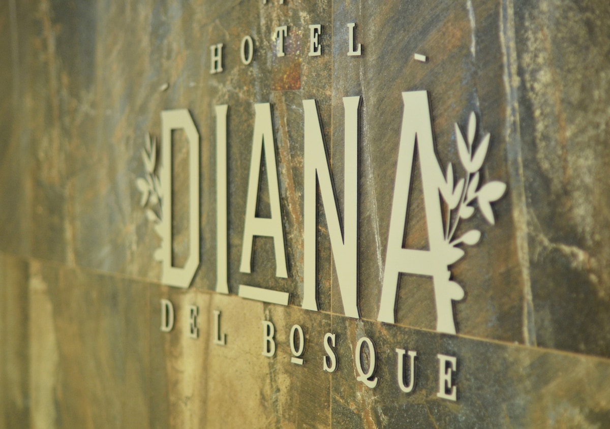 Habitación Superior Hotel Diana del Bosque by DOT