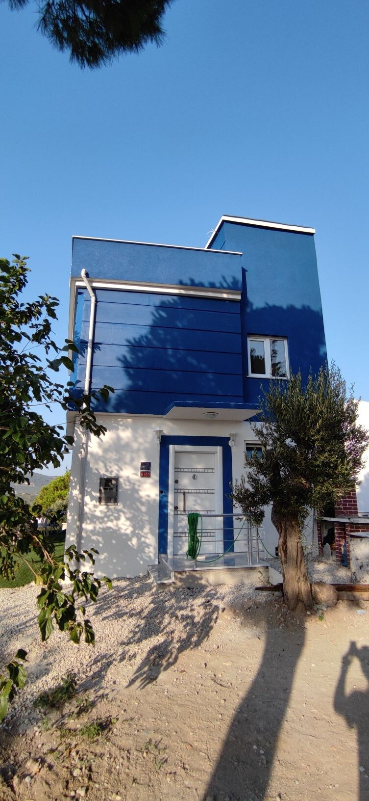 Blue House