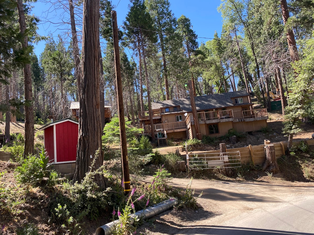 Sequoia National Forrest CabinH