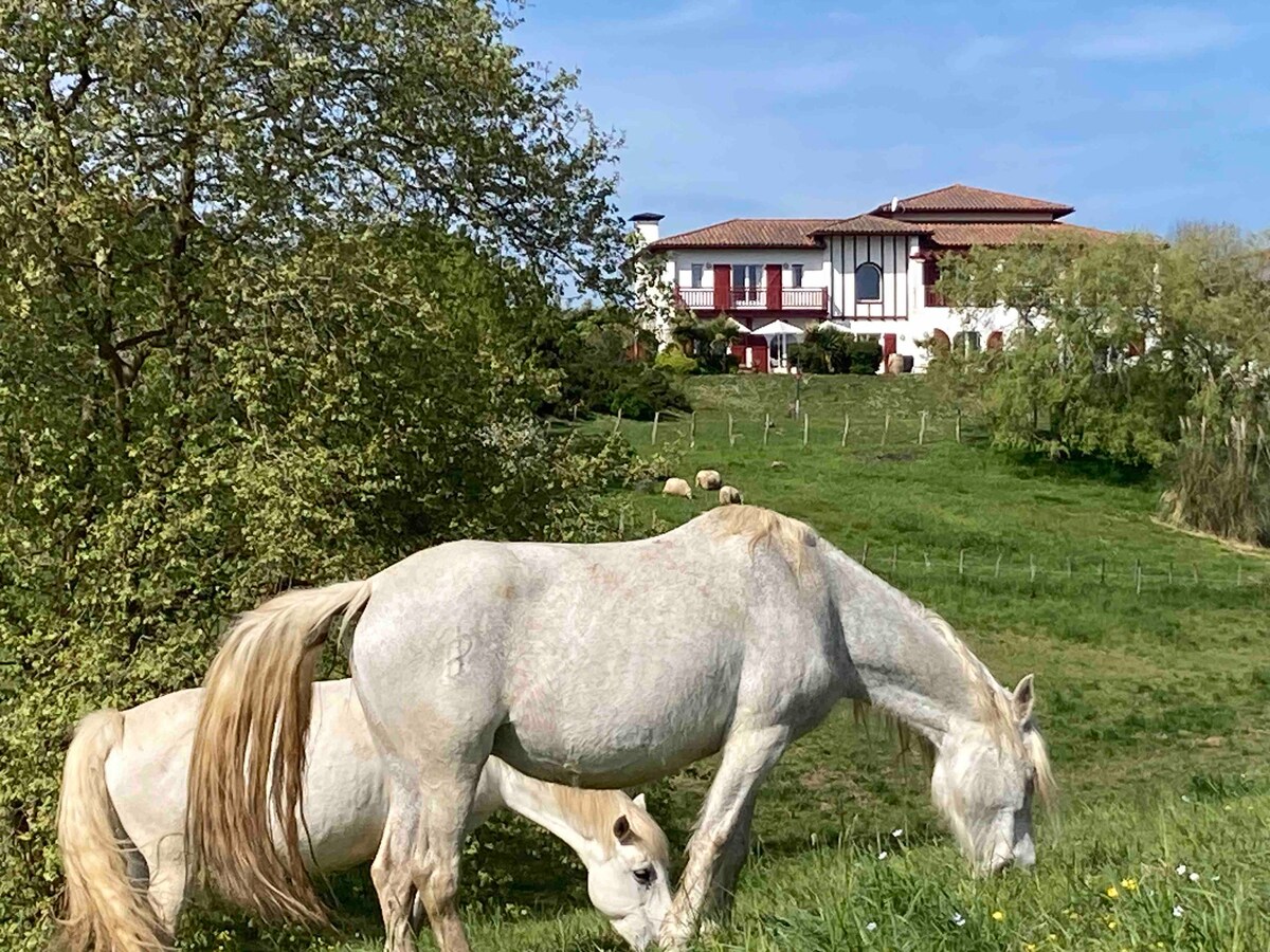 Villa Arguibel Guethary