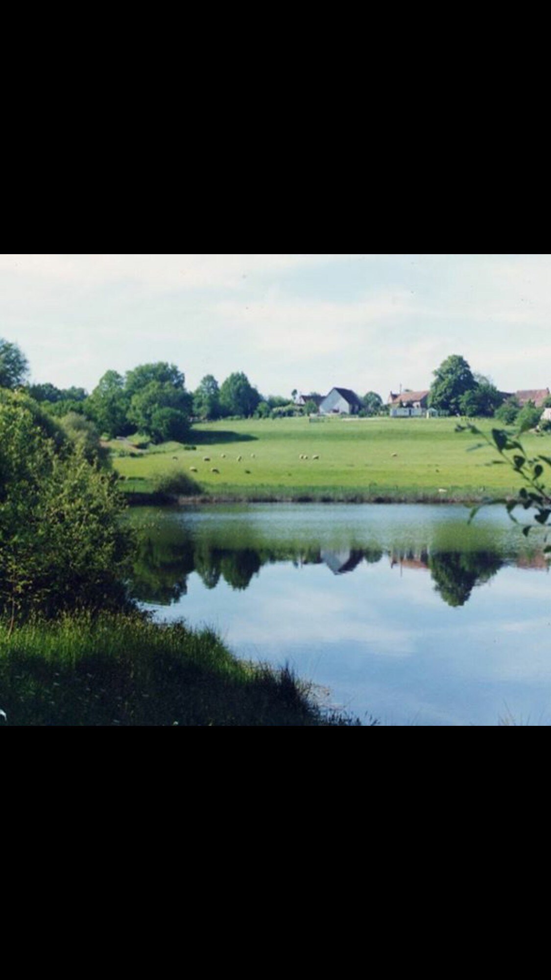 Natural Fishing lake with forest