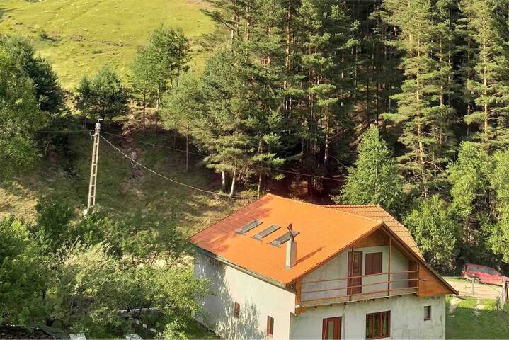 Valea Gârbea的民宿