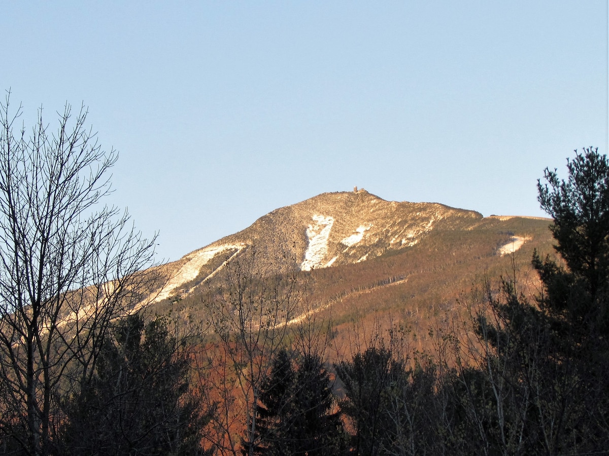 白云杉小屋~ Wilmington/Whiteface Mtn NY