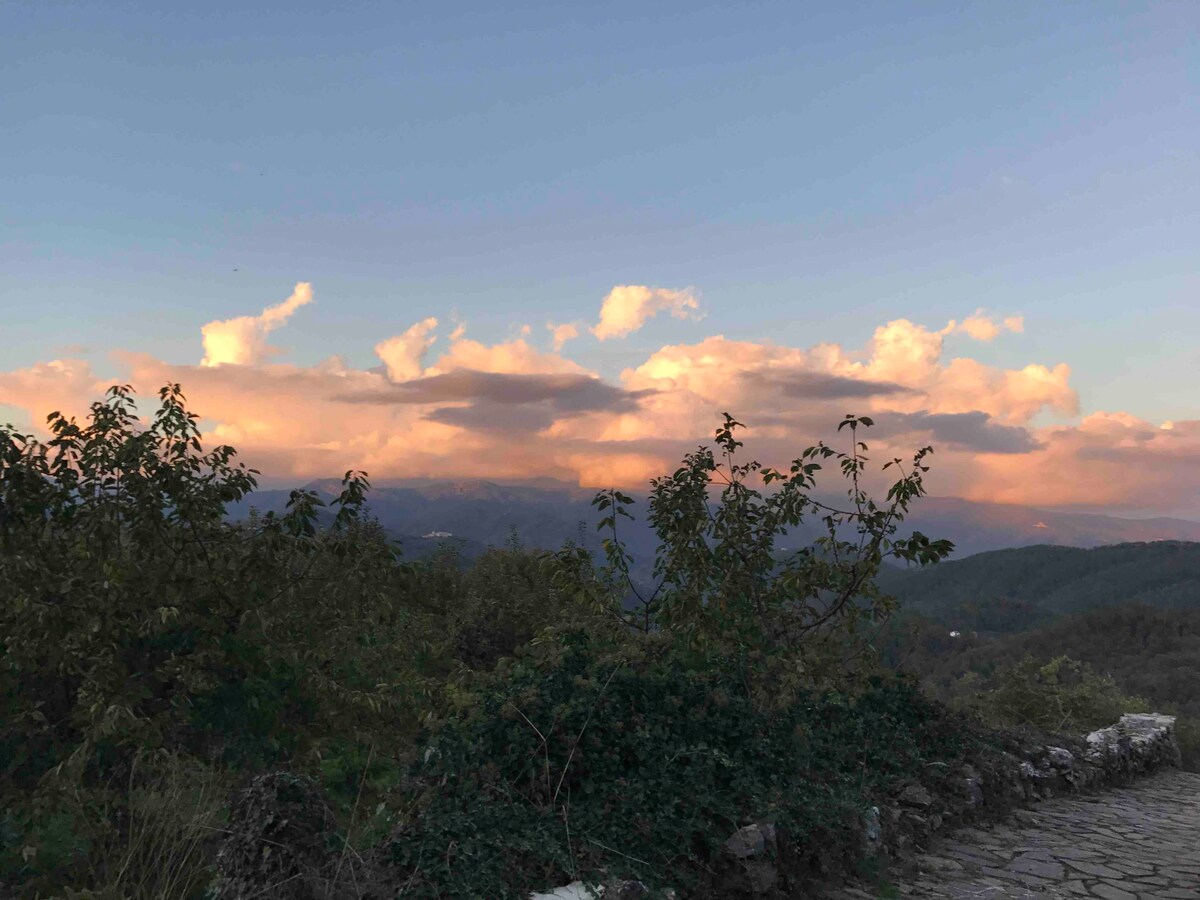 位于五渔村（ Cinque Terre ）安静山镇的利古里亚联排别墅。