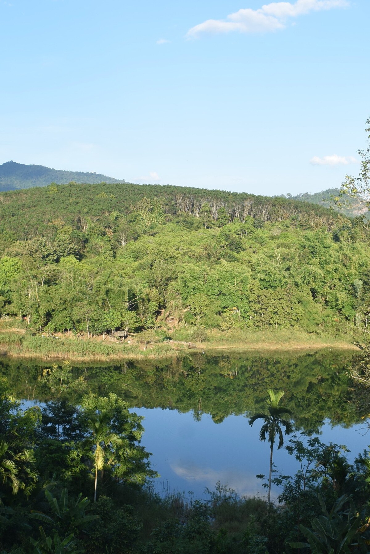 Kaffir青柠皇后酒店；阳台；山景