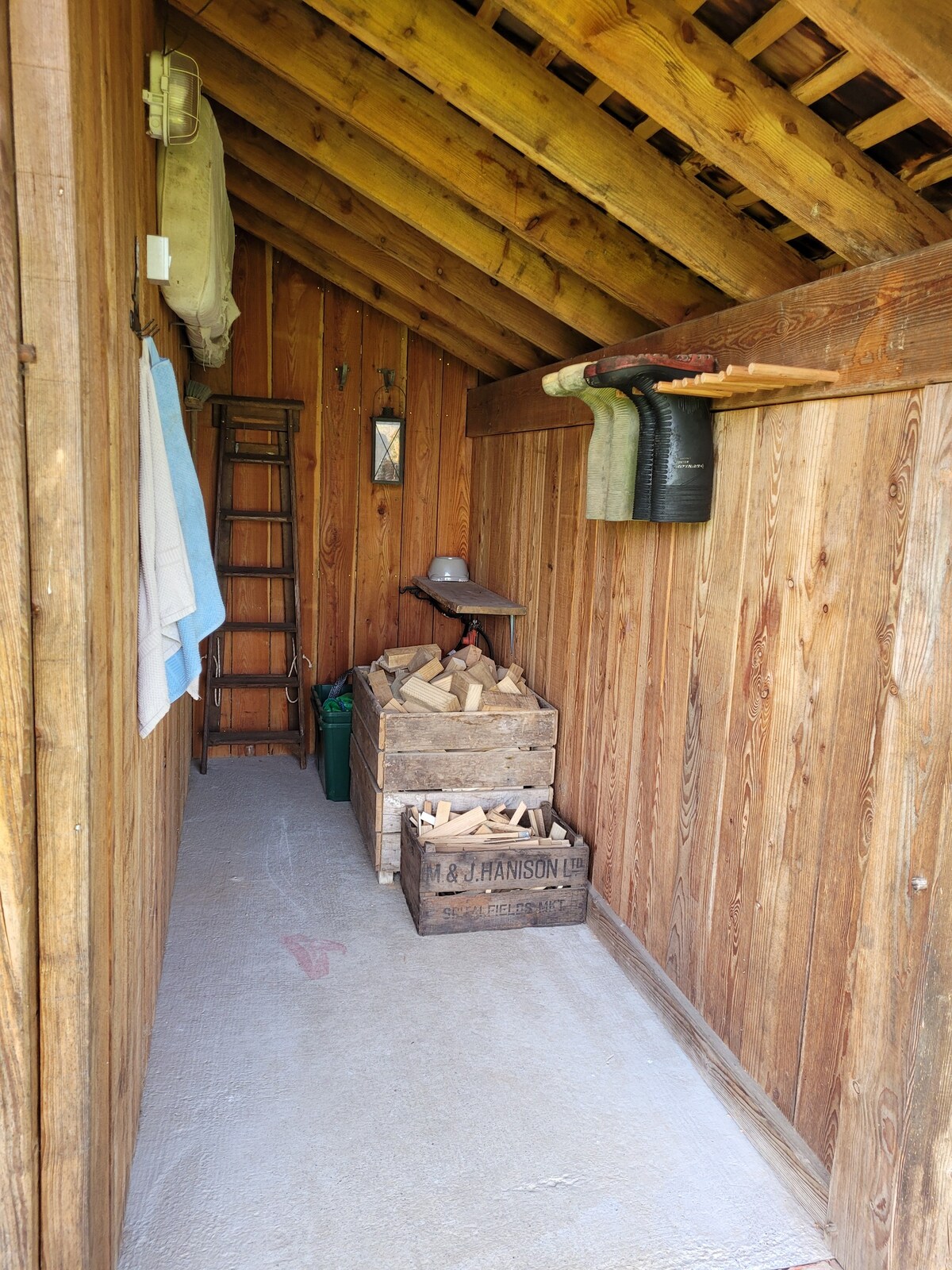 The Cabin in the country