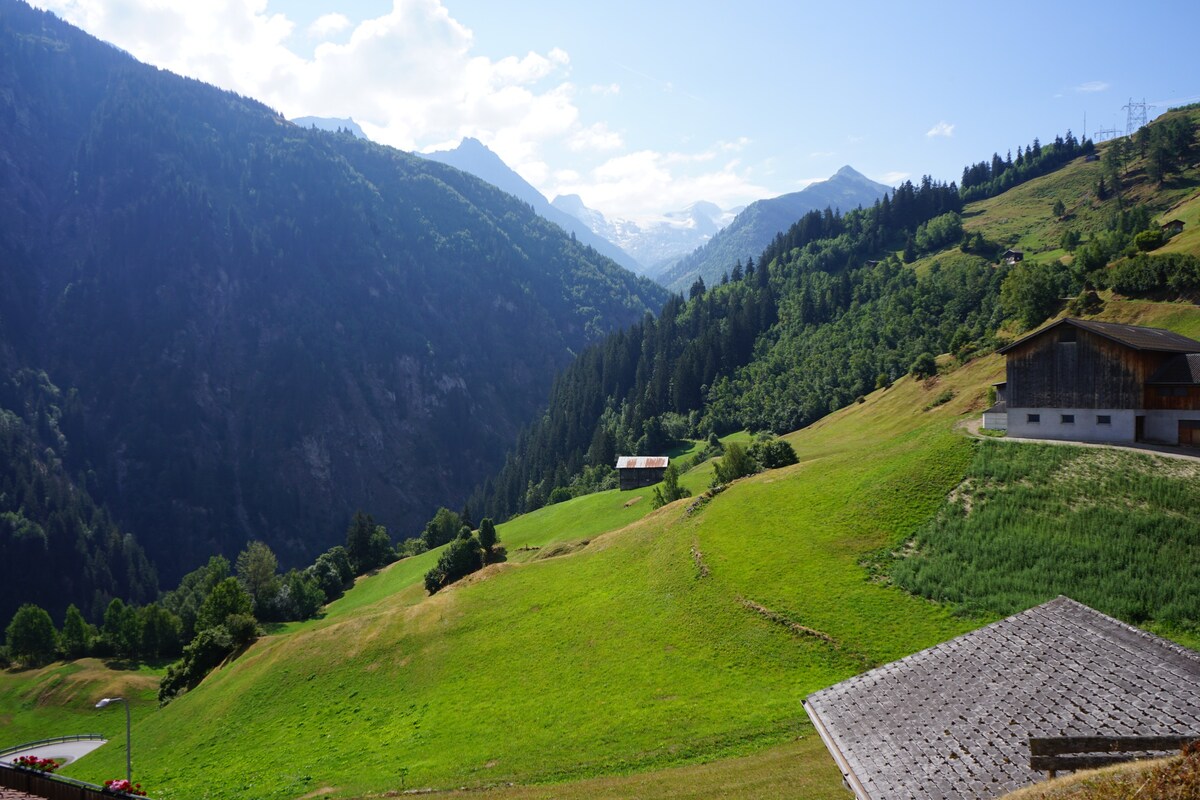 景色迷人的安静小屋