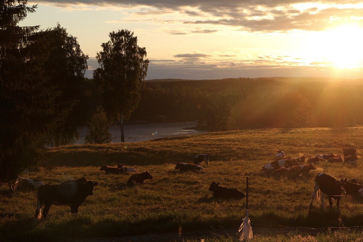 Sarahuset Underbar plats Vännäs