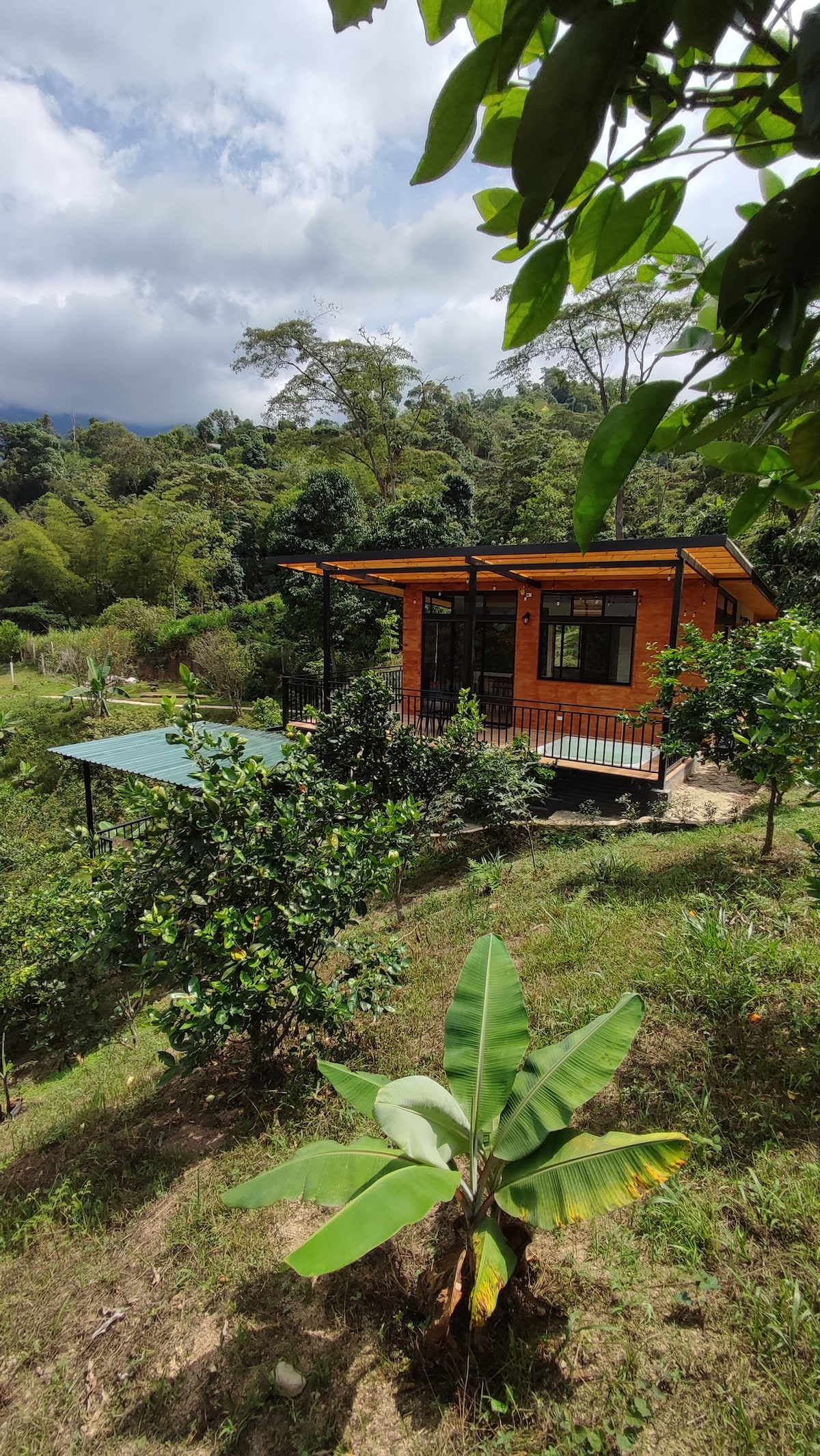 Charming & peaceful cabin