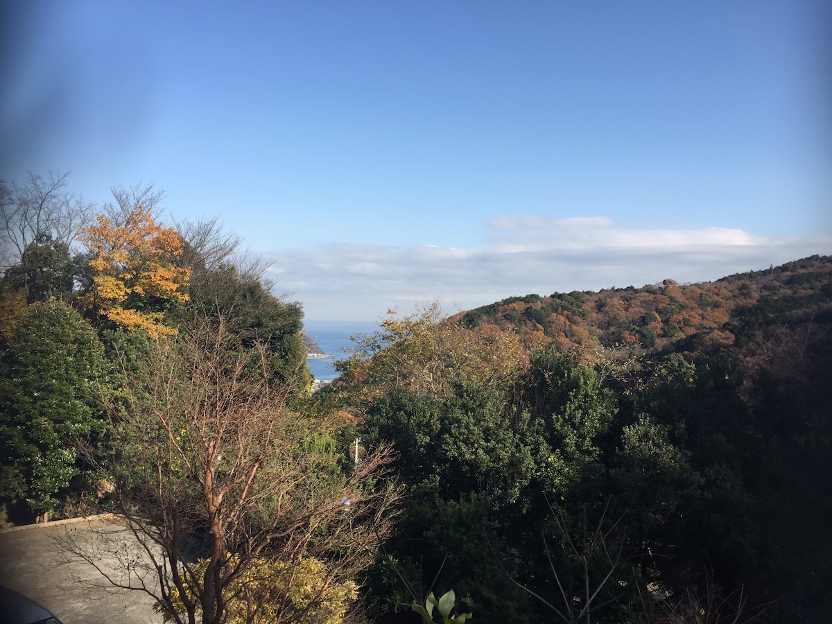 猿楽温泉リゾートダブル室山側103