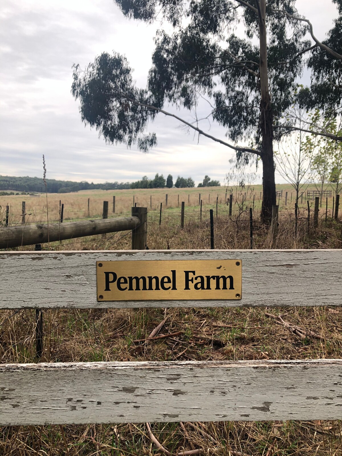 Pemnel Farm -适合家庭和美食家