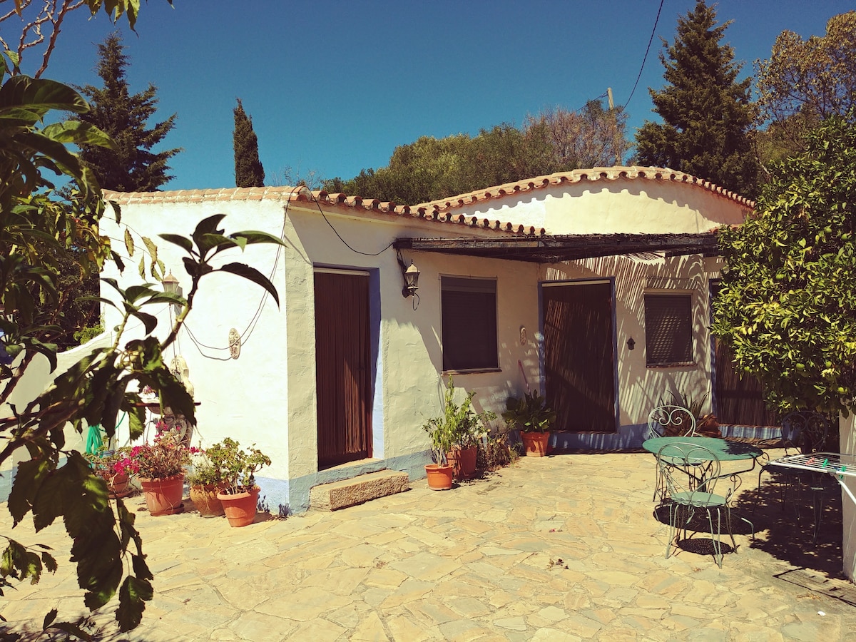 Apartment auf Finca mit Pool in der Natur