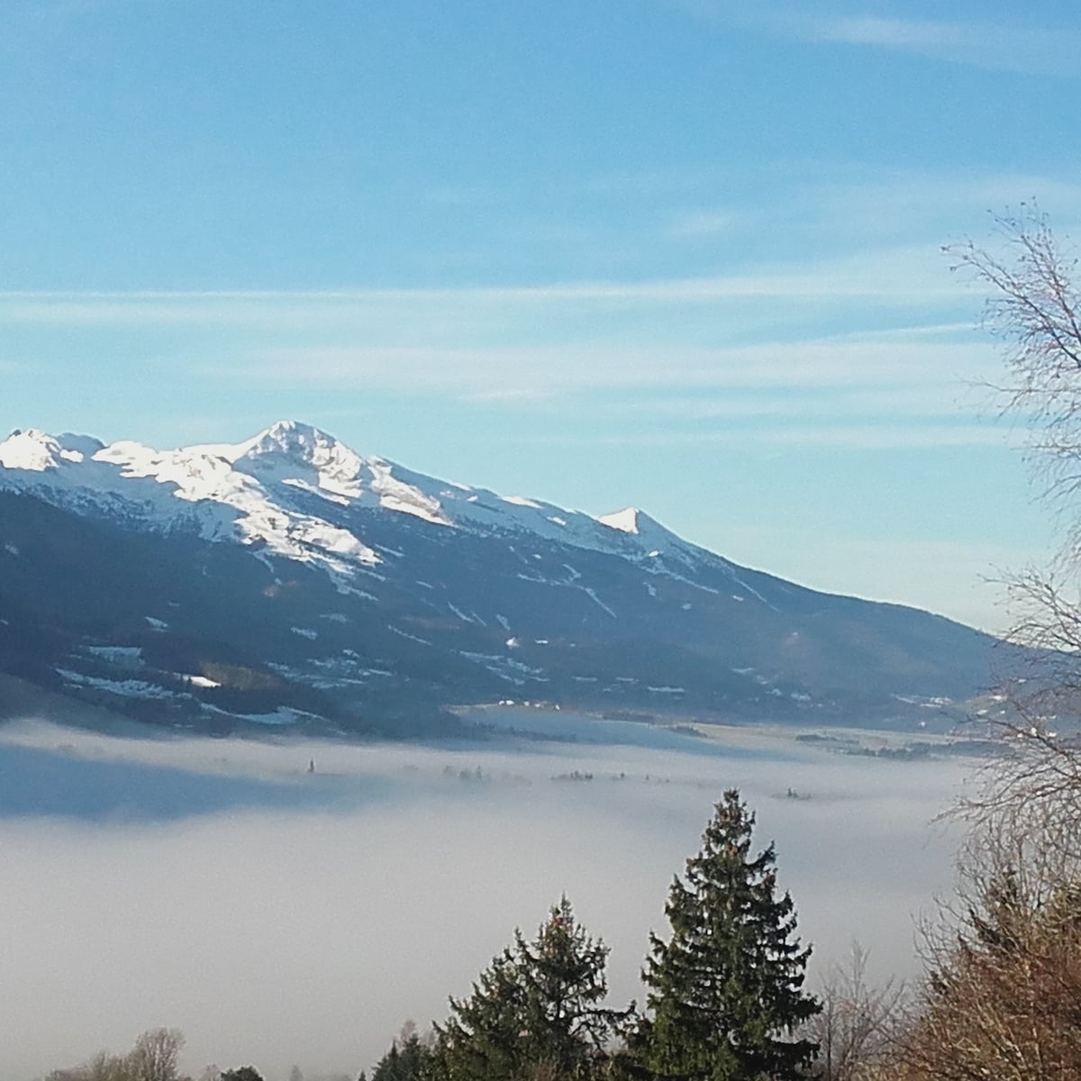 Vercors ： Gite L'Hysope ，美丽的景色和森林！