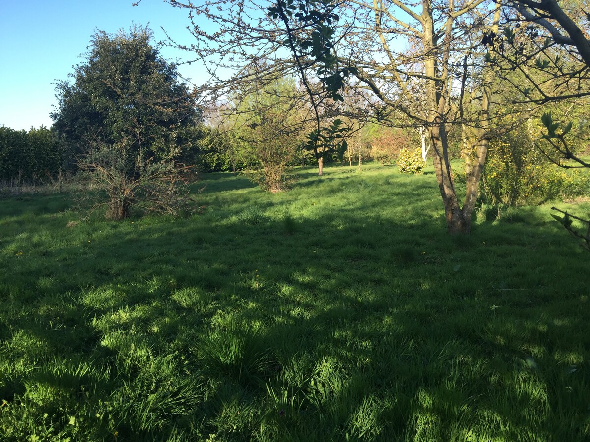 1英亩的僻静平房。靠近舍伍德森林（ Sherwood Forest ）