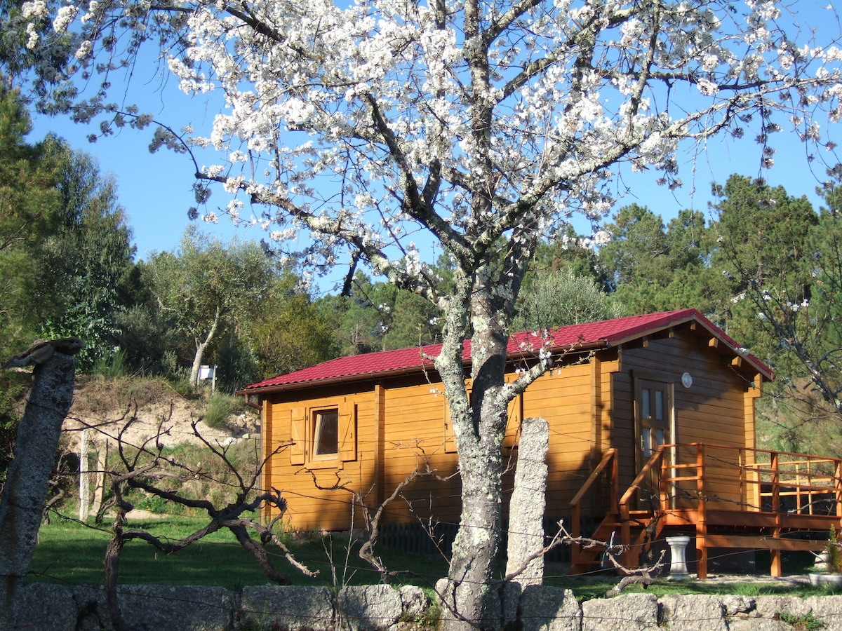 配备PRIVACY SERRA DA ESTRELA的独立度假木屋。