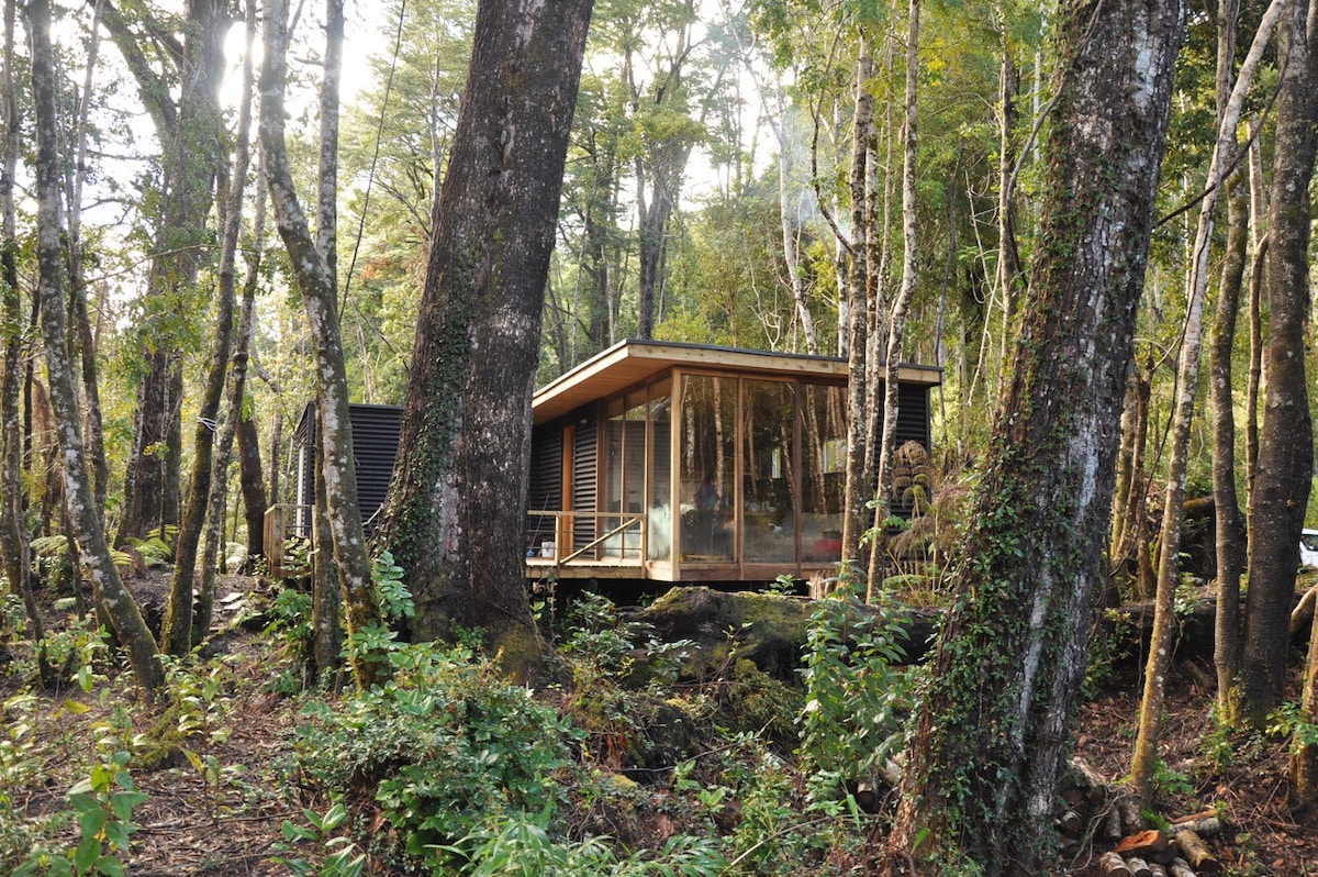 Cabañas en medio de Bosque Nativo