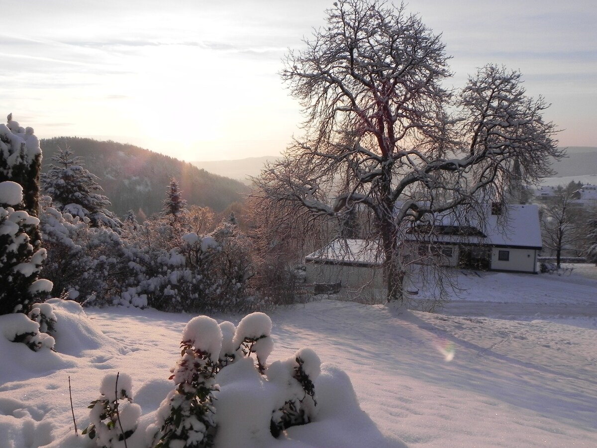 Winterberg/Willingen附近的平房