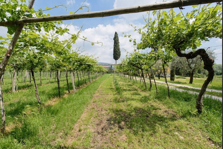 Fogolar della Valpolicella