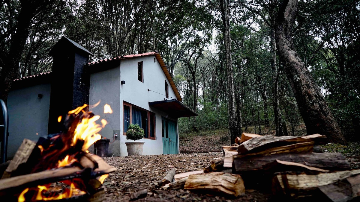 Cabaña muy acogedora rodeada de Bosque