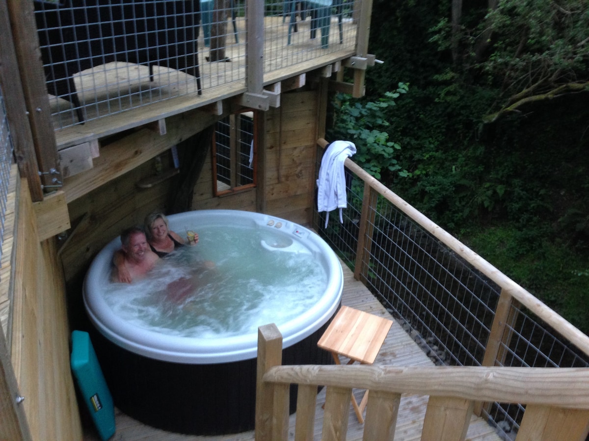Ty Gwyrdd生态屋，配备热水浴池，威尔士纽基