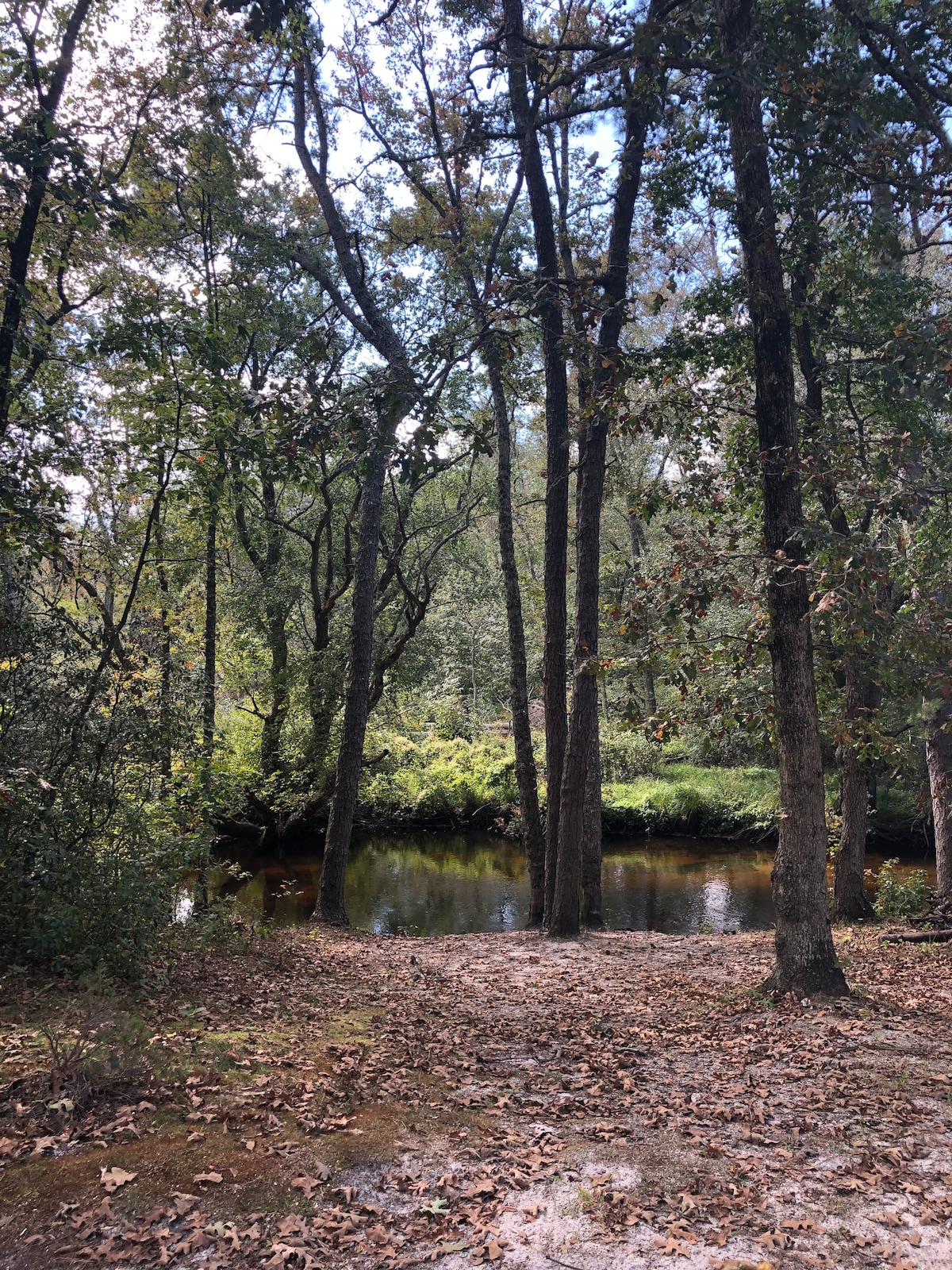 River 's Edge Cabin I