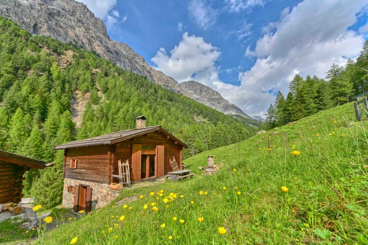 Val Zebrù-Chalet intero immerso nella natura