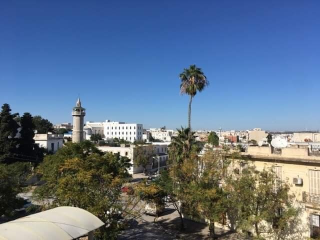 屋顶可欣赏突尼斯的壮丽景色。