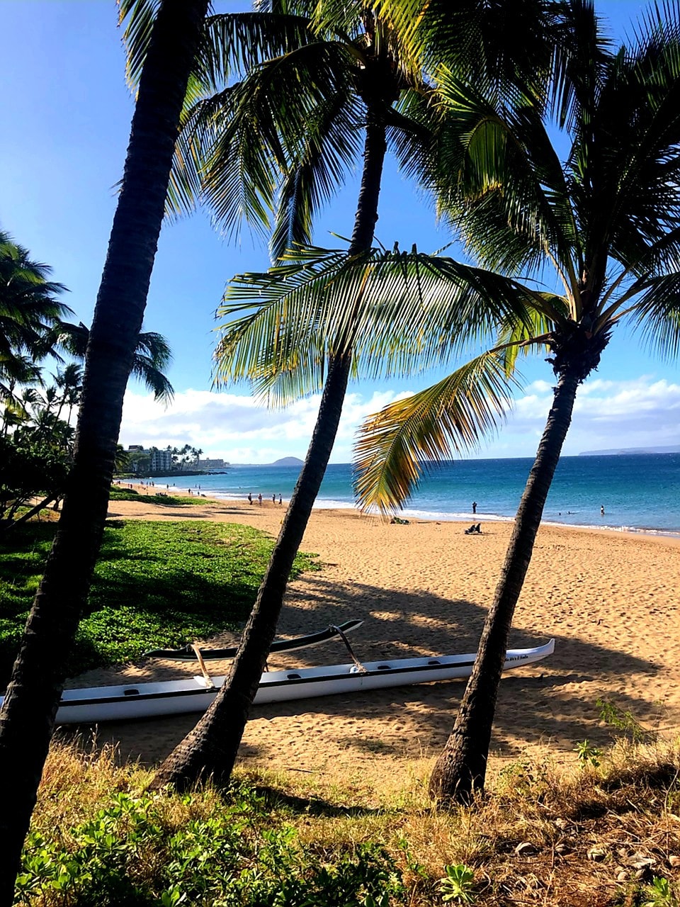 最佳基黑（ Kihei ）最佳位置！春季特惠！