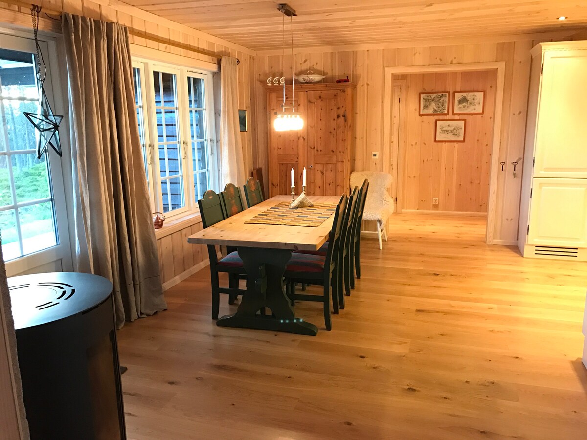 位于Trysil Fulufjellet的现代家庭小屋