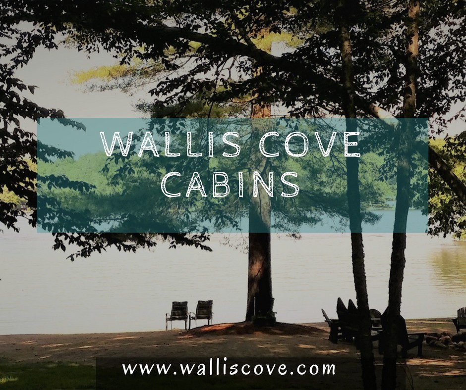 Wallis Cove小屋小屋