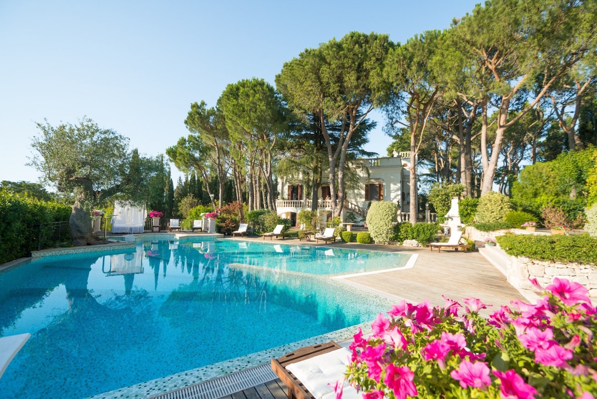 HelloApulia Villa Chiara ：独家历史悠久的别墅，设有泳池