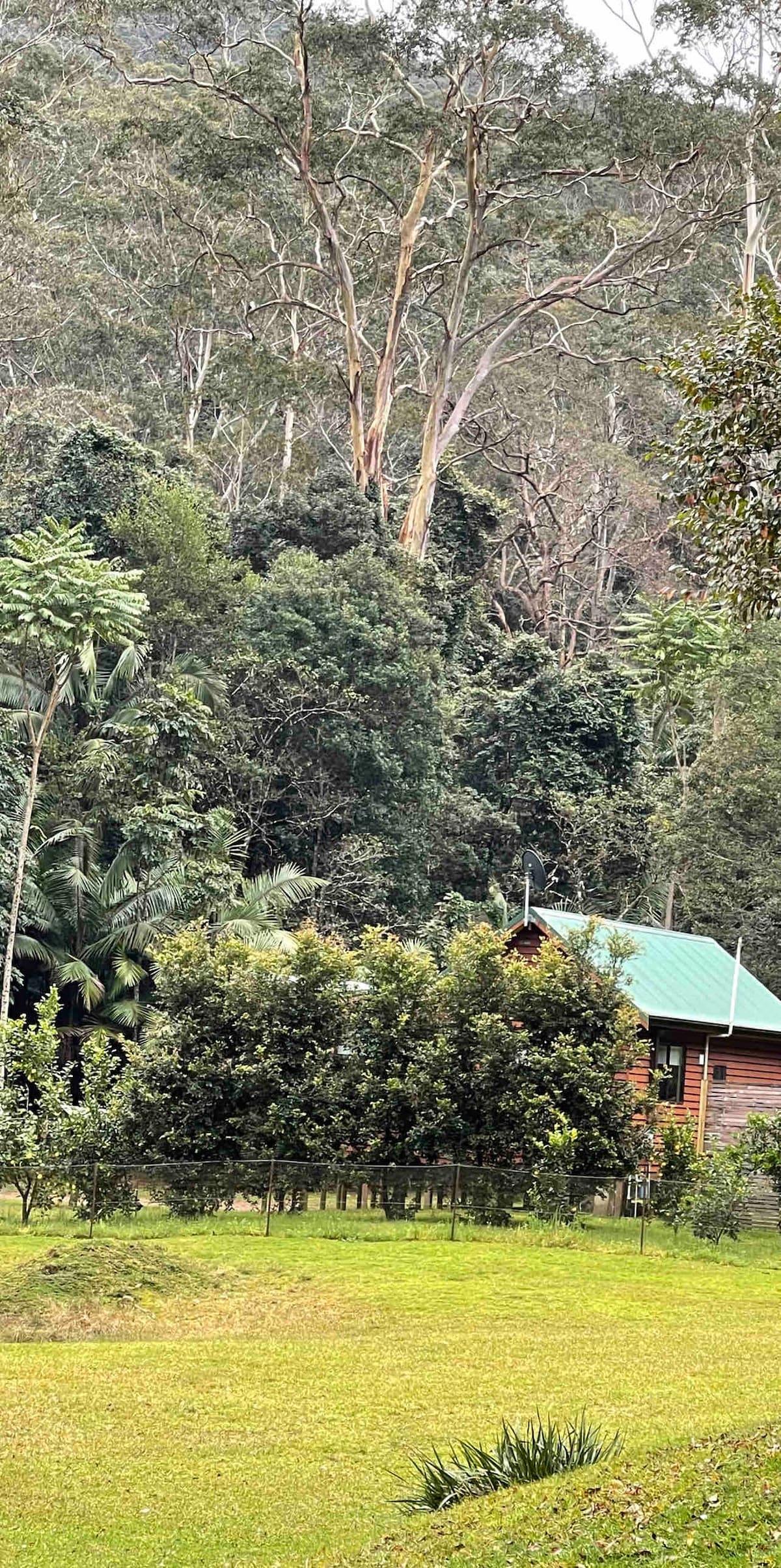 舒适的热带雨林小木屋，野生动物/大自然/宁静