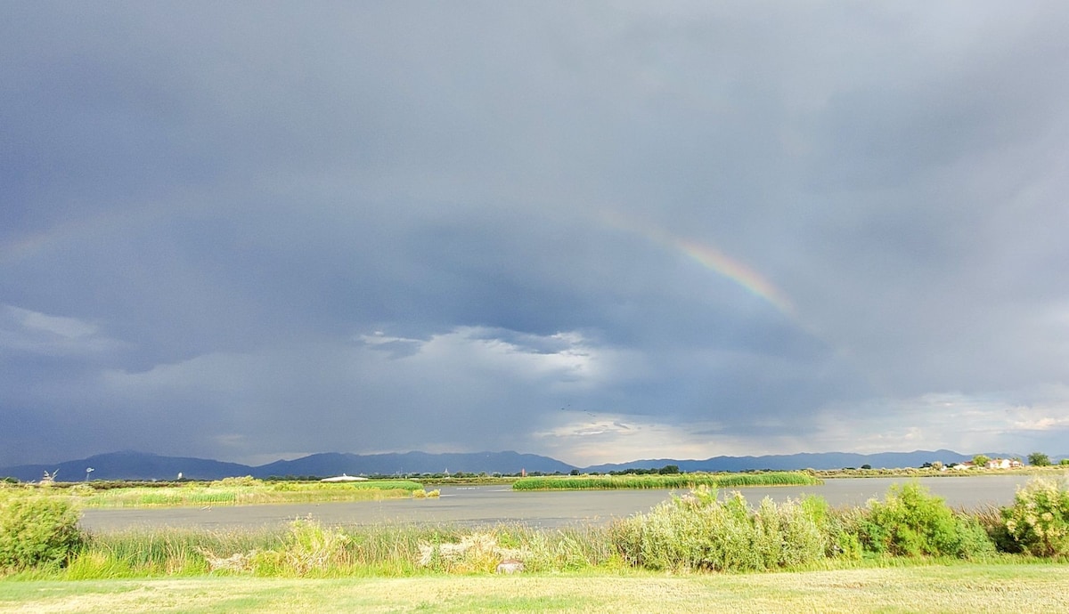 Lakeshore Bliss on Gunnison Bend Reservoir