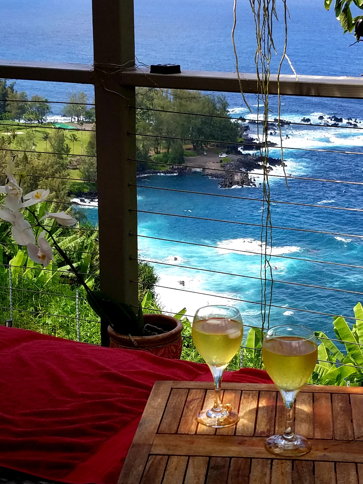 Hamakua Sea Cliff住宿加早餐旅馆，海滨悬崖住宅