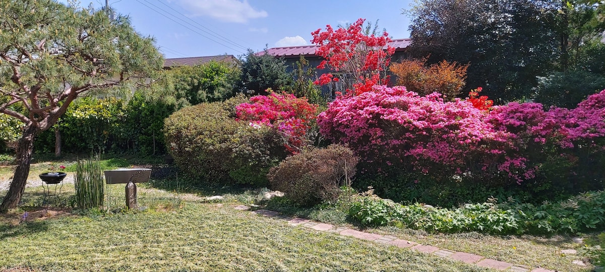 Isodang ：这是一座有丝绸鲤鱼居住的池塘的房子