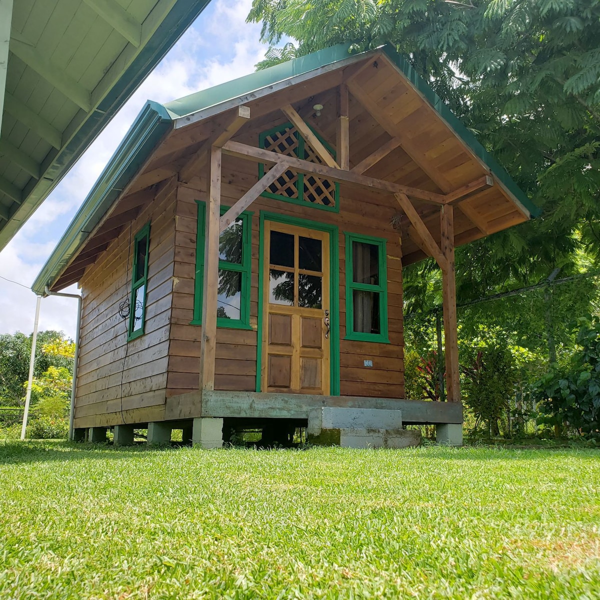 Casa Jacaranda Matapalo