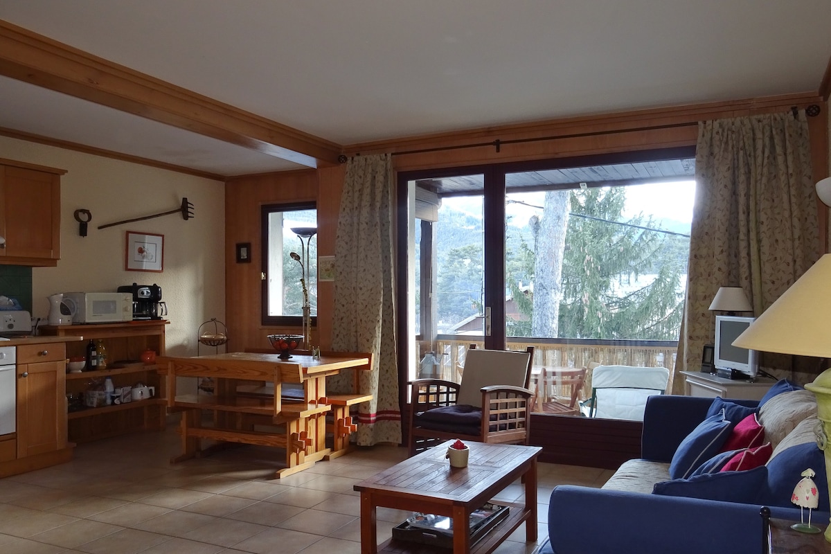 Exceptional apartment in Barcelonnette