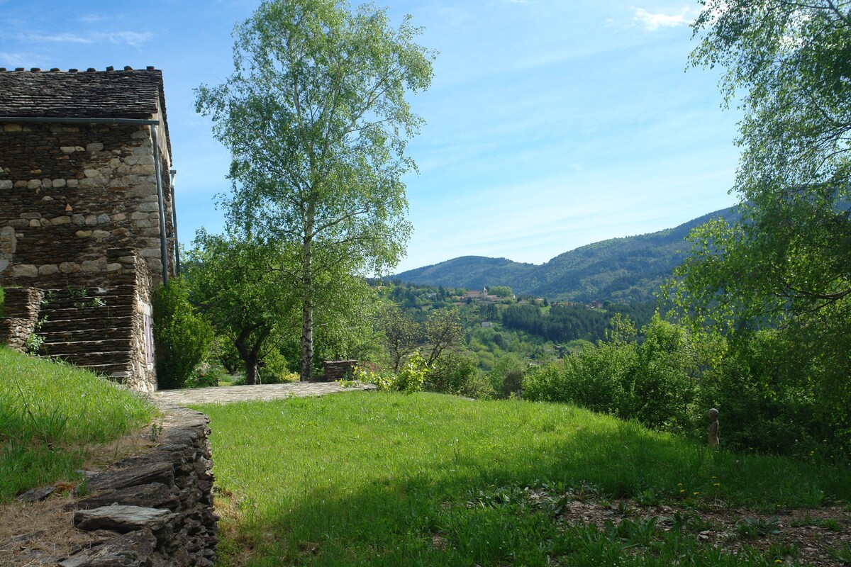 Magnifique propriété en pierre, Ponteils et Bresis