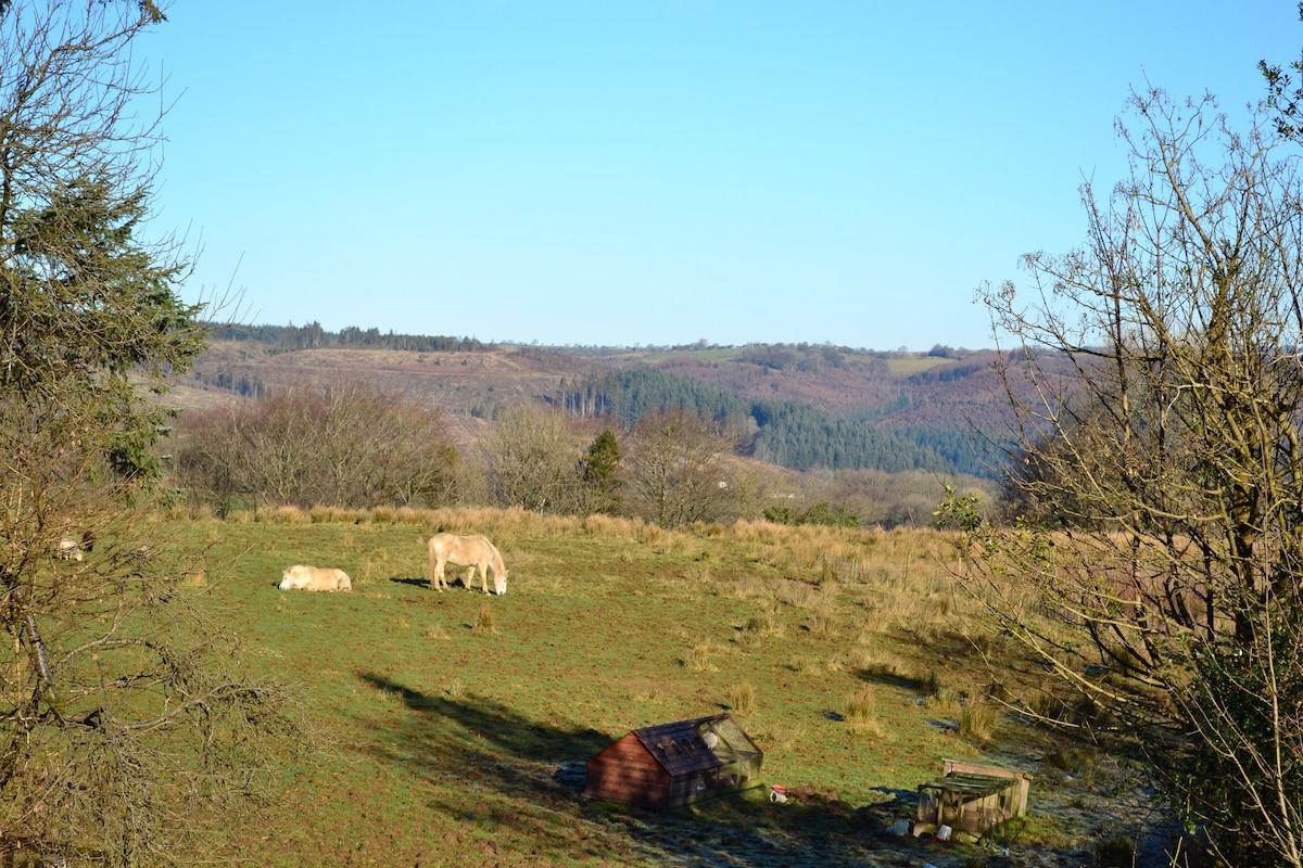 Gilfach Wen Barn -专为团聚而设计。