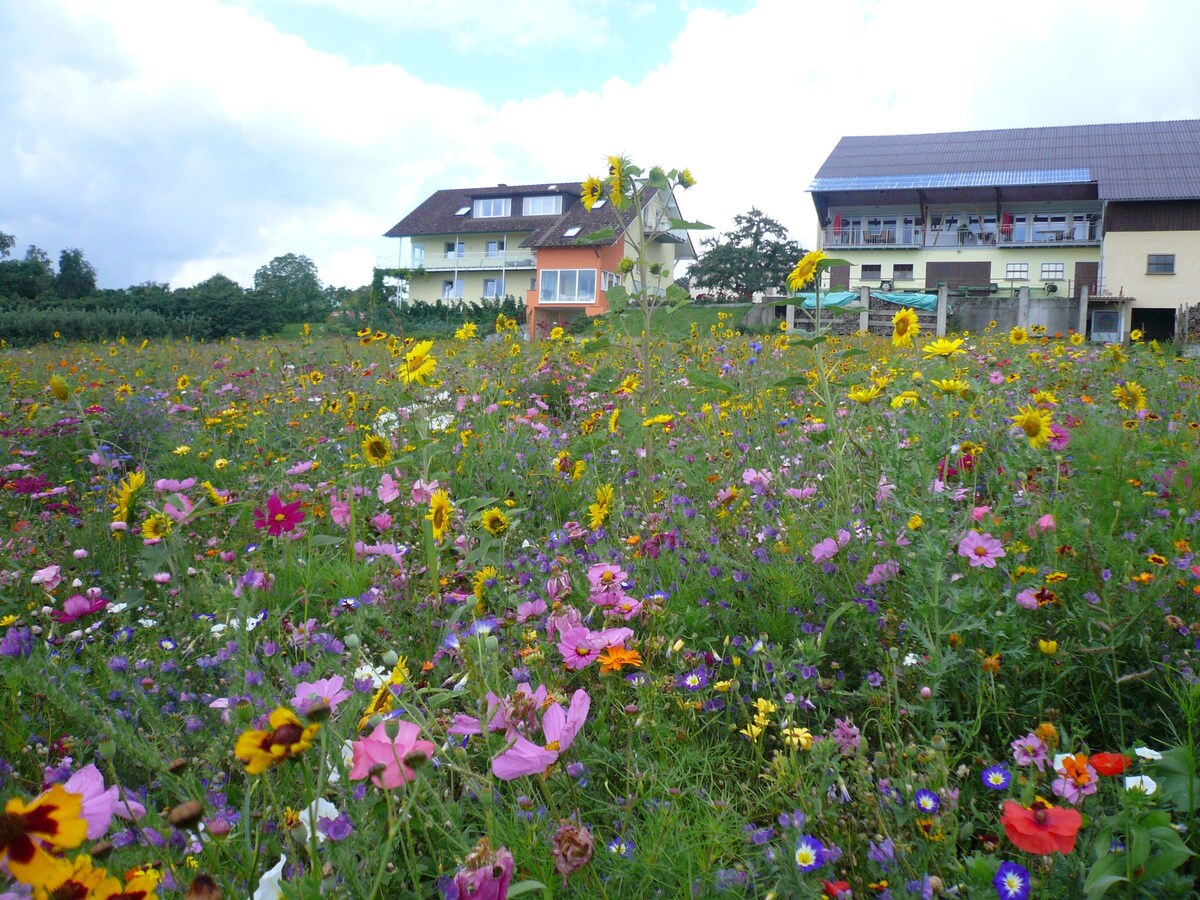 Ferienwohnungen Buchhaldenhof, (Konstanz), Ferienwohnung 3, 70qm, 2 Schlafzimmer, max. 4 Personen