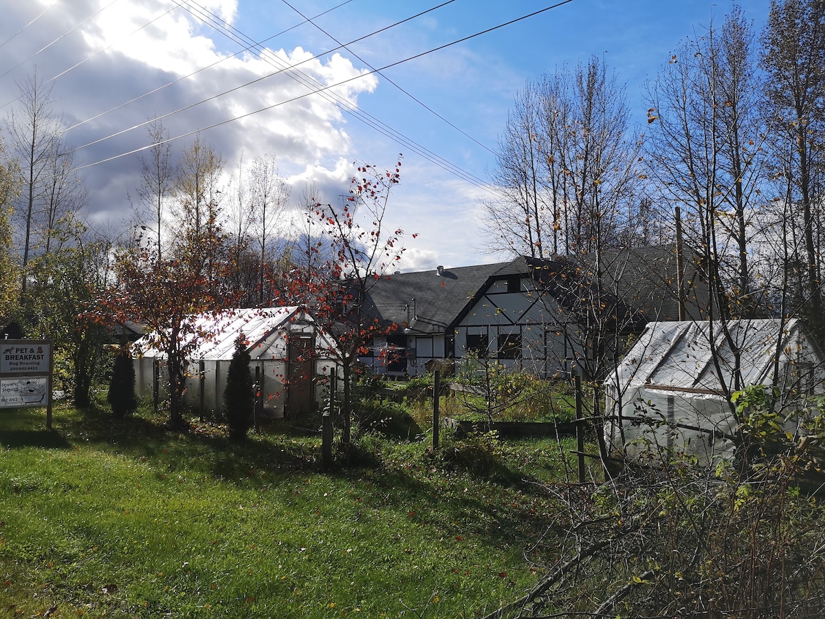 The Scandia Airb&b in Hazelton