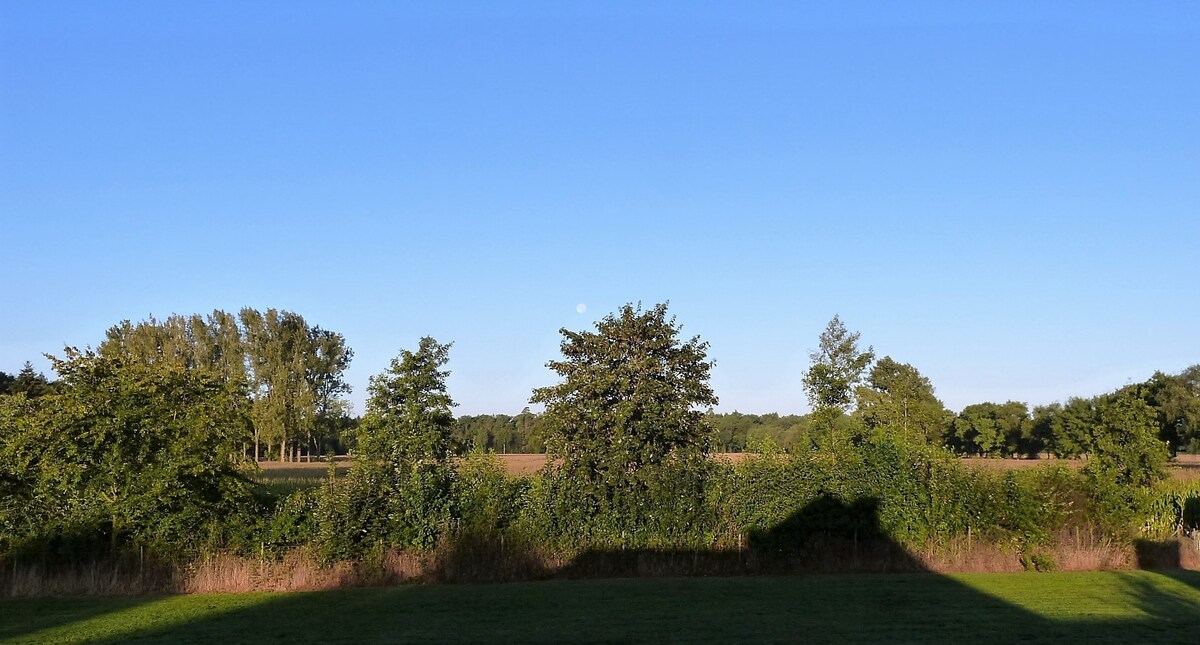 Holiday home Braken am Naturschutzgebiet