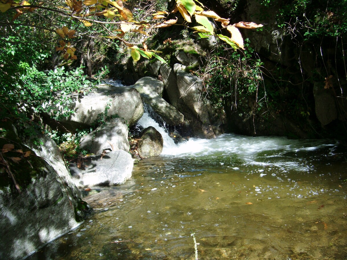 Mas cévenol ： 360 ° Nature