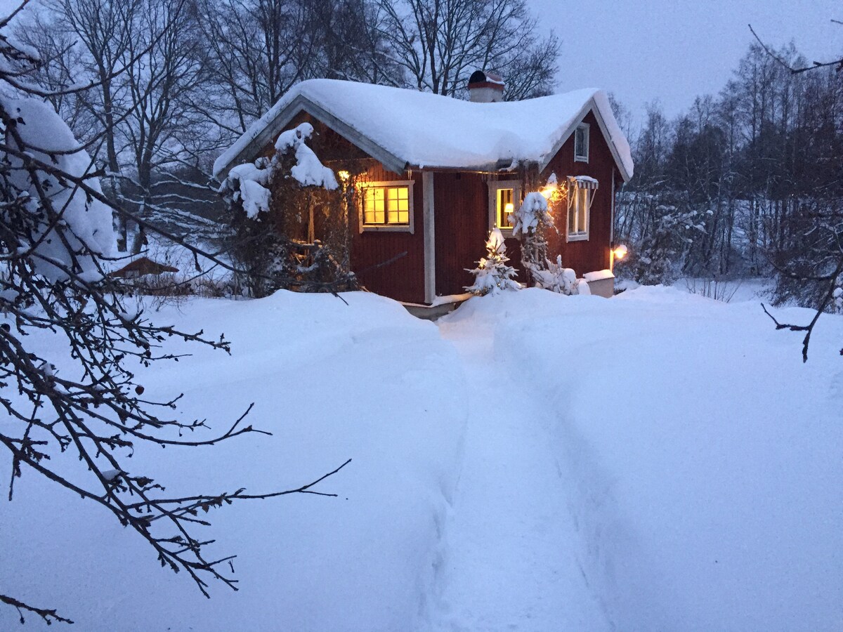 位于Gävle Gavleån的郁郁葱葱的花园中的舒适小木屋