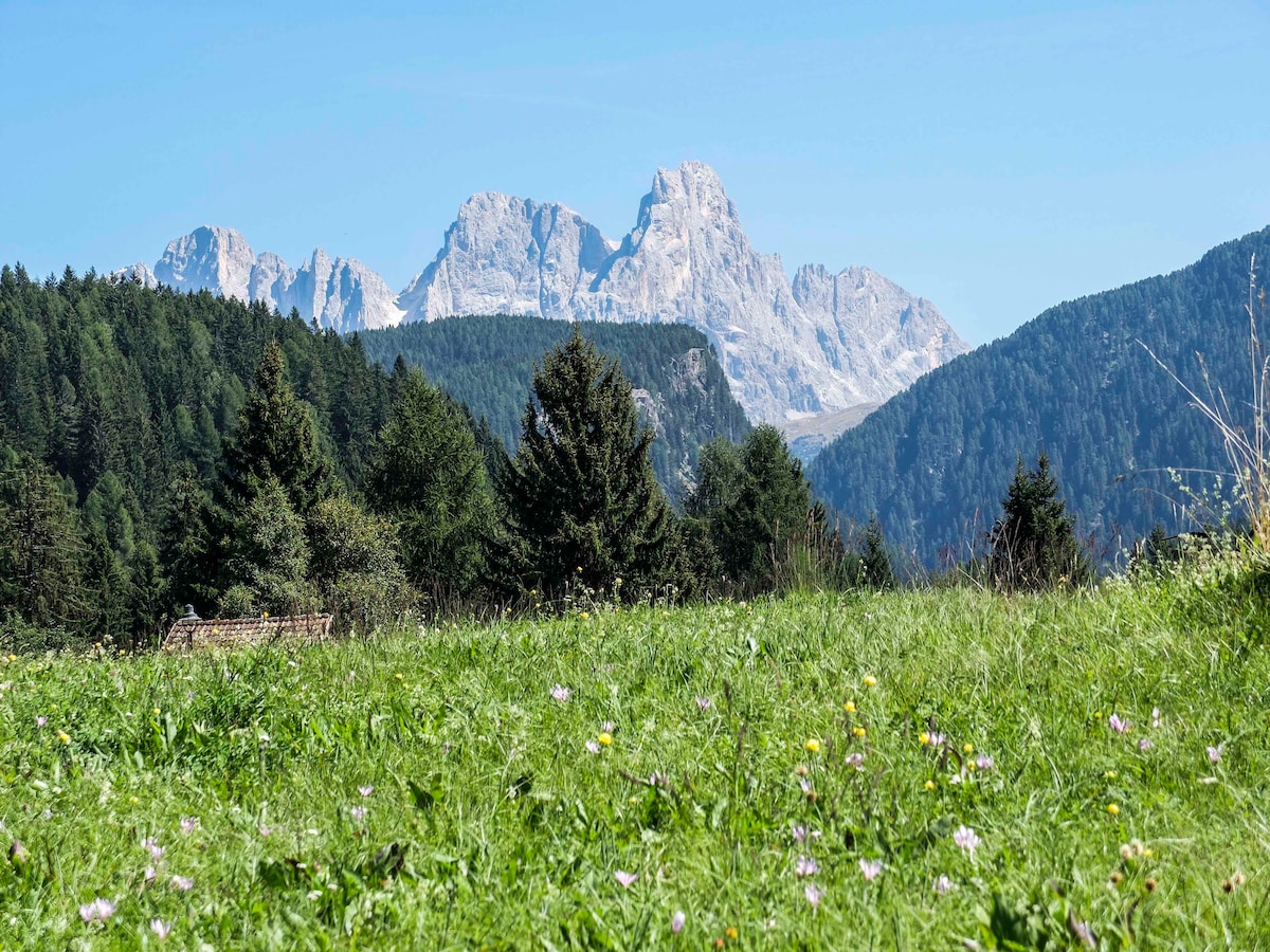 Dolomiti, mountainview apartment in Val di Fiemme