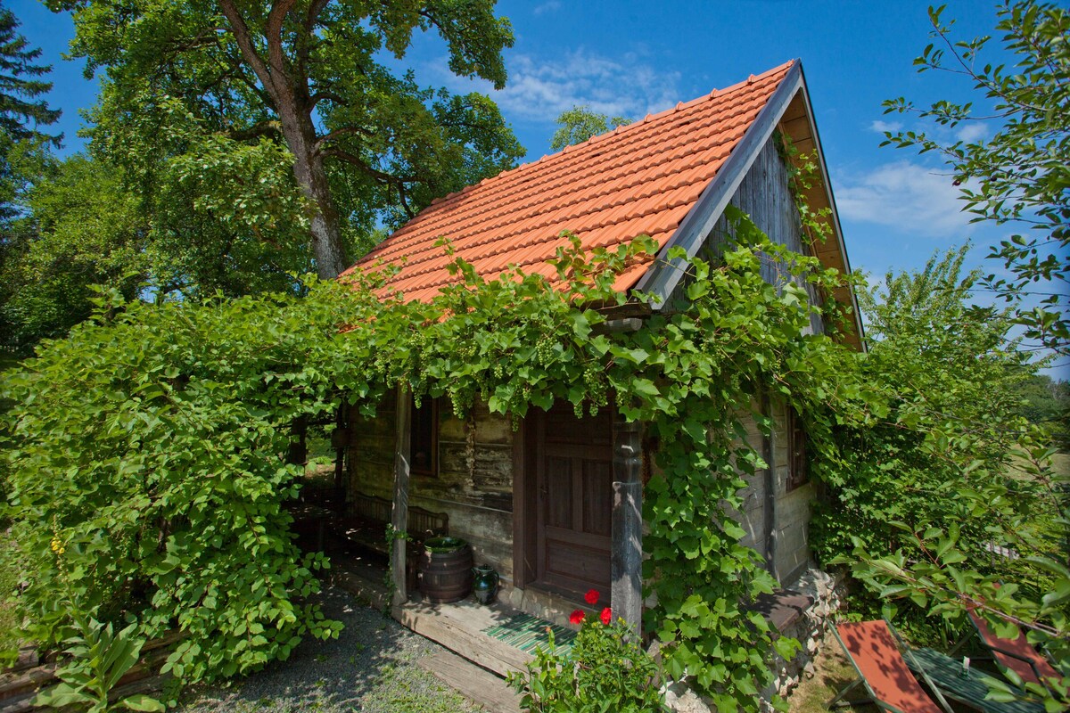 Cottage Juraj -传统乡村小屋