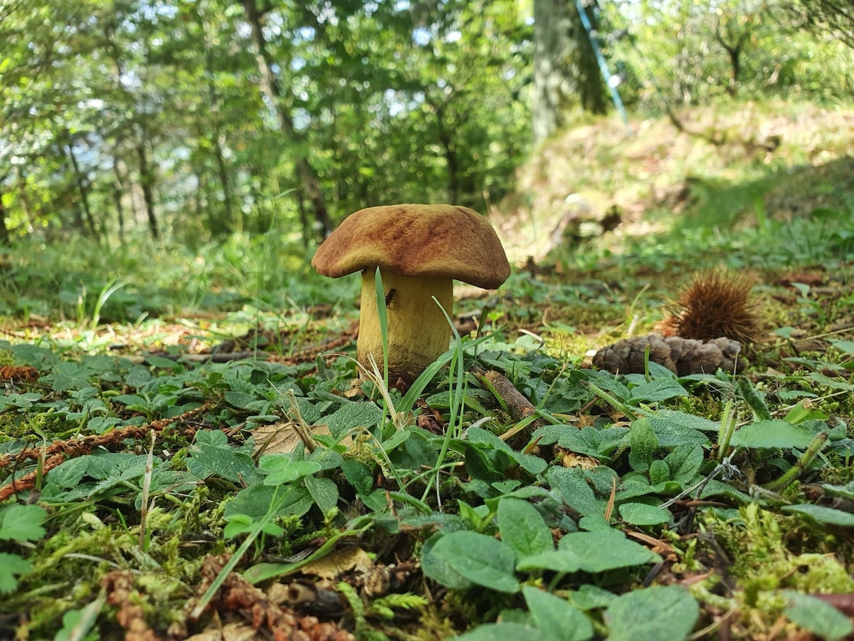 Natura e relax, La Perla dell'Alta Via