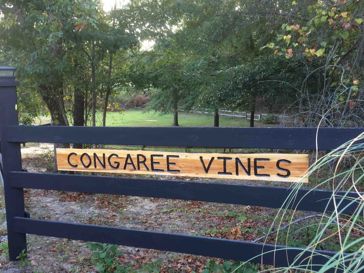 Congaree Vines -葡萄园旁的乡村小木屋！